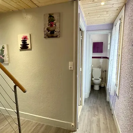 Les Myrtilles Dore 6pers Holiday home Le Mont-Dore